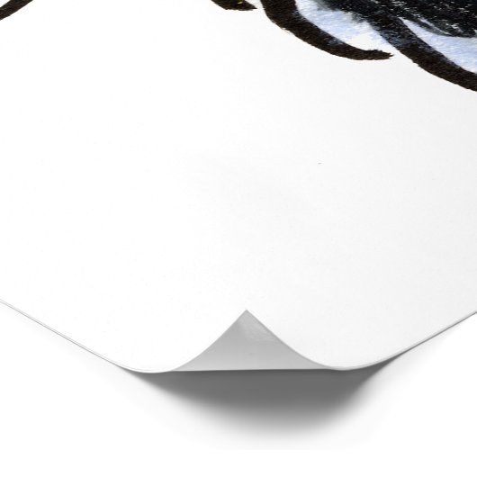 Sunny Schnauzer Classic Poster (Ecke)