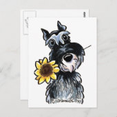 Sunny Schnauzer Classic Postkarte (Vorne/Hinten)