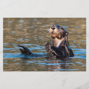 Sunny Sea Otter Briefpapier