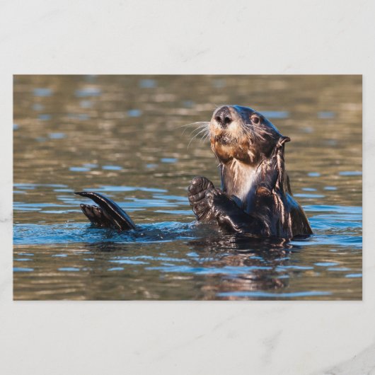 Sunny Sea Otter Briefpapier (Vorderseite)