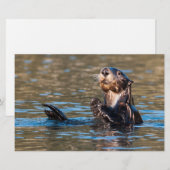 Sunny Sea Otter Briefpapier (Vorne/Hinten)