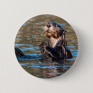 Sunny Sea Otter Button