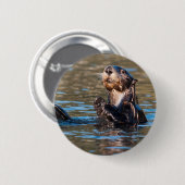 Sunny Sea Otter Button (Vorne & Hinten)