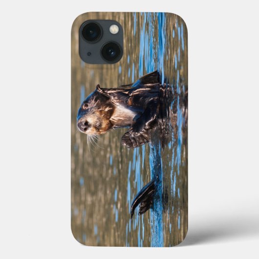 Sunny Sea Otter Case-Mate iPhone Hülle (Rückseite)