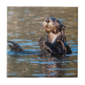 Sunny Sea Otter Fliese (Vorderseite)
