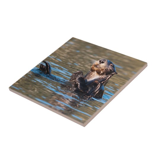 Sunny Sea Otter Fliese (Seite)