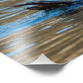 Sunny Sea Otter Fotodruck (Ecke)