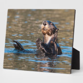 Sunny Sea Otter Fotoplatte (Seite)