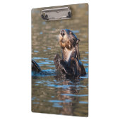 Sunny Sea Otter Klemmbrett (Links)