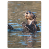 Sunny Sea Otter Klemmbrett (Rückseite)
