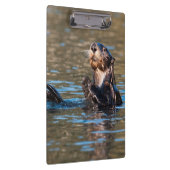 Sunny Sea Otter Klemmbrett (Rechts)
