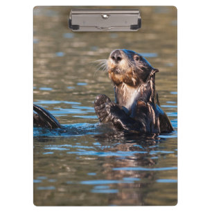 Sunny Sea Otter Klemmbrett