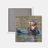 Sunny Sea Otter Magnet (Vorderseite/Rückseite)