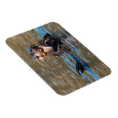 Sunny Sea Otter Magnet (Rechte Seite)