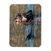 Sunny Sea Otter Magnet (Vertikal)