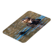 Sunny Sea Otter Magnet (Linke Seite)