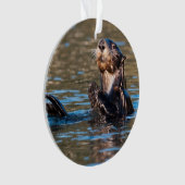 Sunny Sea Otter Ornament (Vorderseite)