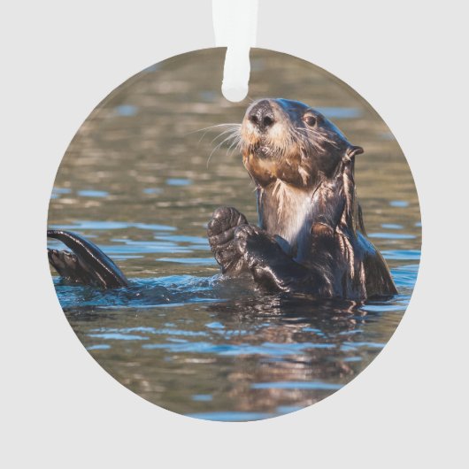 Sunny Sea Otter Ornament (Rückseite)