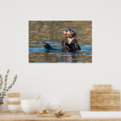 Sunny Sea Otter Poster (Küche)