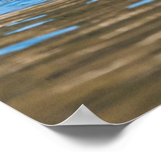 Sunny Sea Otter Poster (Ecke)