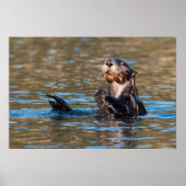 Sunny Sea Otter Poster (Vorne)