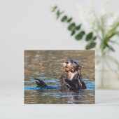 Sunny Sea Otter Postkarte (Stehend Vorderseite)