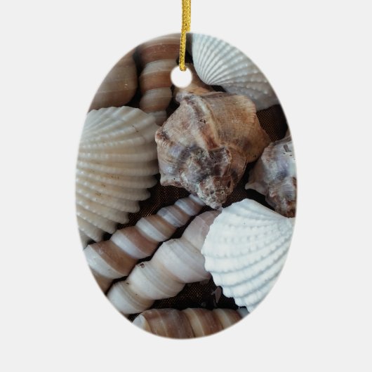 Sunny Seashells Collection Natursommer Keramik Ornament (Vorne)