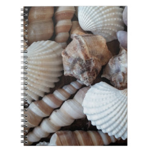 Sunny Seashells Collection Natursommer Notizblock