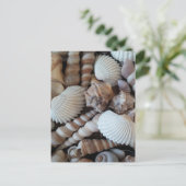 Sunny Seashells Collection Natursommer Postkarte (Stehend Vorderseite)