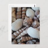 Sunny Seashells Collection Natursommer Postkarte (Vorne/Hinten)