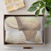 Sunny Seashells Collection, Summer Beach, Tissue Seidenpapier (Geschenk)
