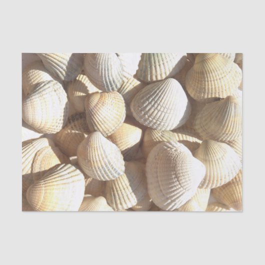 Sunny Seashells Collection, Summer Beach, Tissue Seidenpapier (Vorderseite)