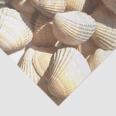 Sunny Seashells Collection, Summer Beach, Tissue Seidenpapier (Ausschnitt)