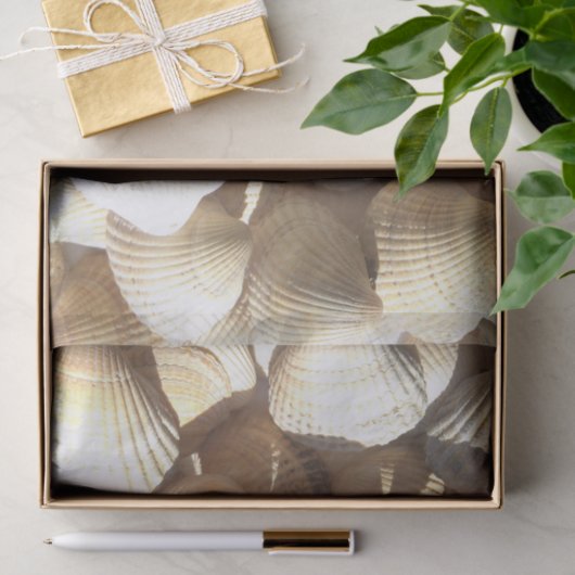 Sunny Seashells Collection, Summer Beach, Tissue Seidenpapier (Geschenk)
