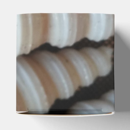 Sunny Seashells Gefälligkeitsbox, Summer Beach Wed Geschenkschachtel (Oben)