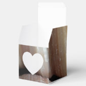 Sunny Seashells Gefälligkeitsbox, Summer Beach Wed Geschenkschachtel (Geöffnet)