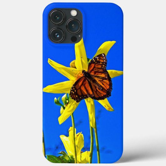 Sunny Side Up Case-Mate iPhone-Hülle iPhone Hülle (Rückseite)