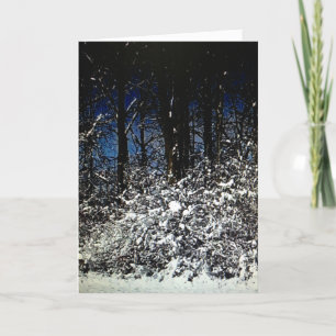 Sunny Snowy Christmas Framework Card 12x18 Feiertagskarte