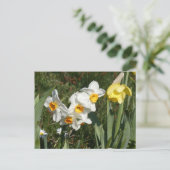 Sunny Spring Flowers DIY Postcard Feiertagspostkarte (Stehend Vorderseite)