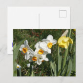 Sunny Spring Flowers DIY Postcard Feiertagspostkarte (Vorne/Hinten)