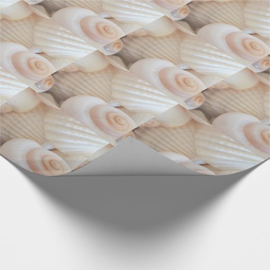 Sunny Summer Seashells Collection Geschenkpapier (Ecke)