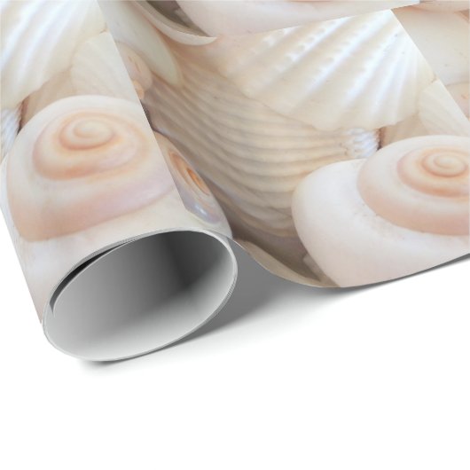 Sunny Summer Seashells Collection Geschenkpapier (Rolleneckpunkt)