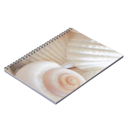 Sunny Summer Seashells Collection Notizblock (Linke Seite)