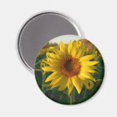 Sunny Sunflower Magnet (Vorderseite/Rückseite)