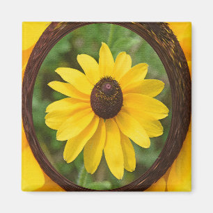 Sunny Susan... Magnet