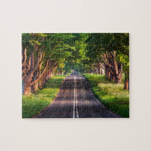 Sunny Trees Road Jigsaw Puzzle (Horizontal)