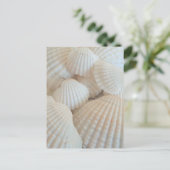 Sunny White Seashells, Summer Beach Exotic Postkarte (Stehend Vorderseite)