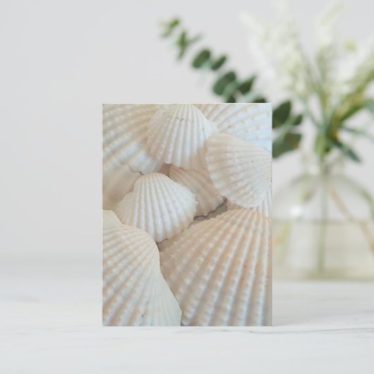 Sunny White Seashells, Summer Beach Exotic Postkarte (Stehend Vorderseite)