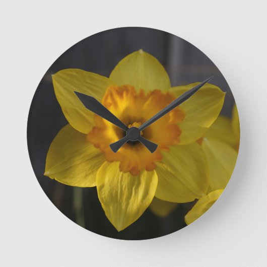 Sunny Yellow Daffodil Runde Wanduhr (Vorderseite)