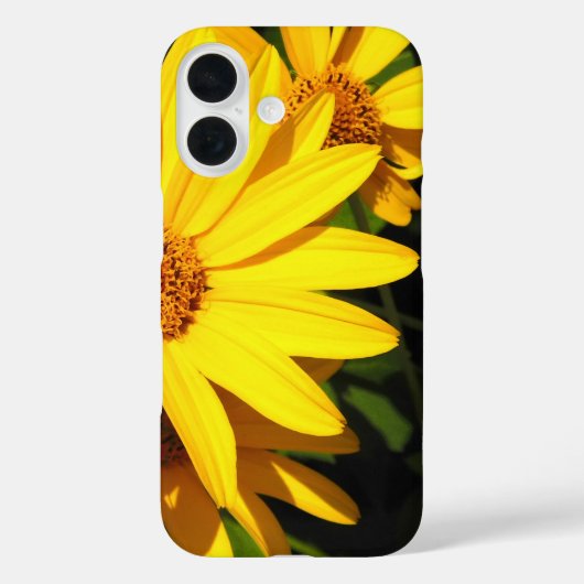 Sunny Yellow Daisy Petals iPhone Case (Rückseite)